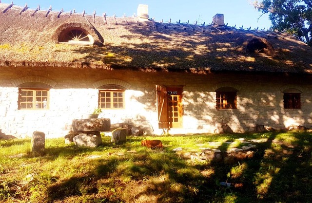 Paali cottages