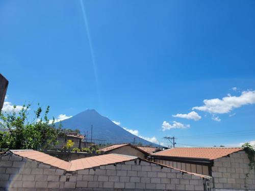 Pacífico Jaguar Antigua