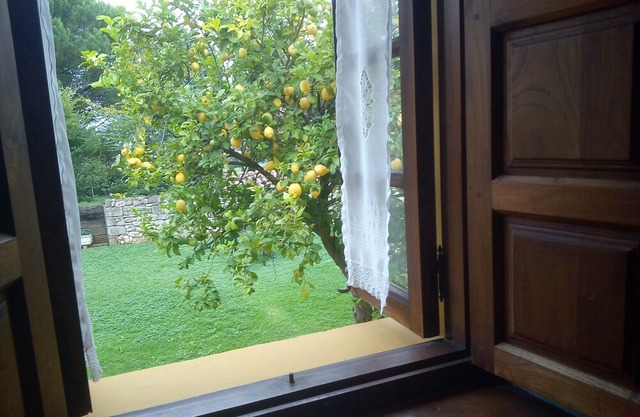 Padruno 5 apartments for 2/4 people