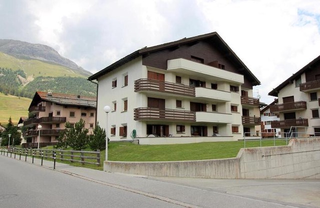 Palüdin 8
