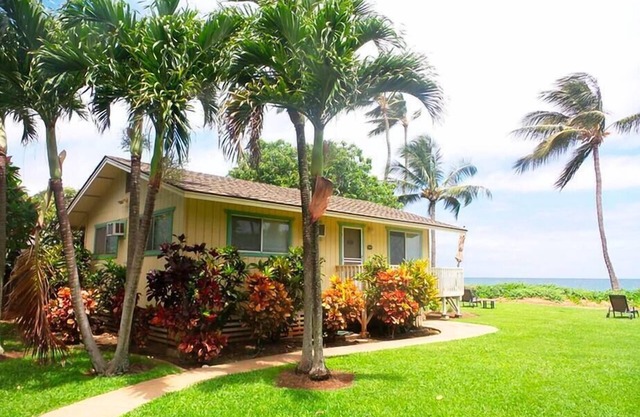 Palm Maui County permit STPH 20130018