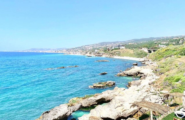 Palm Paradise: Beachfront Exotic Room in Batroun