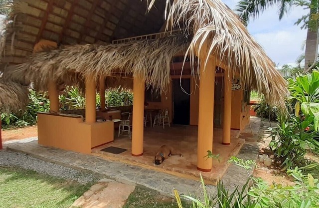 Palm-roofed house in the second row to the sea