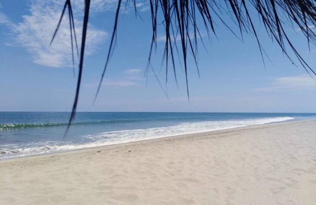 Palmeras de Bocapan, Tumbes