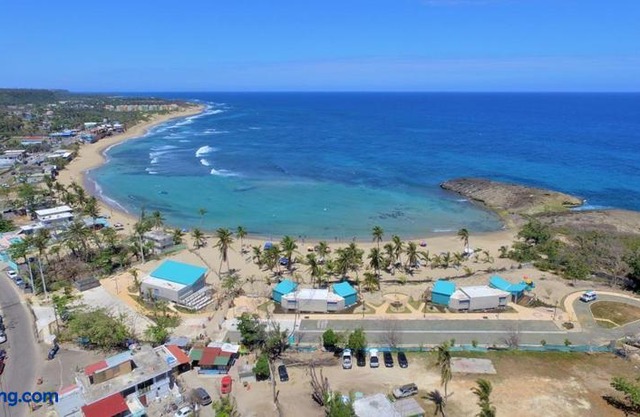 Palmeras Del Mar