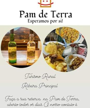 Pam de Terra