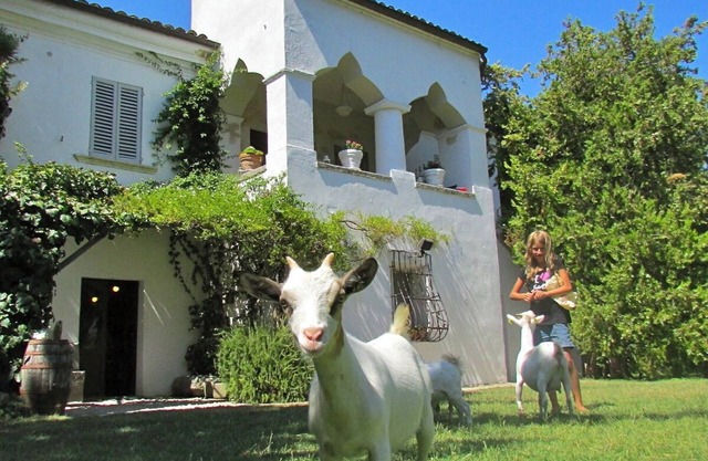 PANORAMIC SUITE in the GARDENS: small cottages (x 2-4 p) between mounts & beach