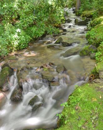 Panther Creek Cabins