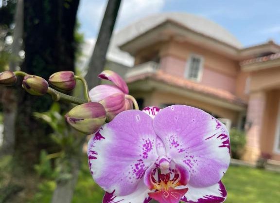 Papandayan Flowers House Villa