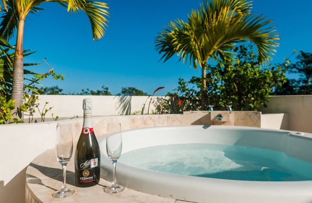 Paradise in Paradise! Beautiful Penthouse in the Jungle at Aldea Zama