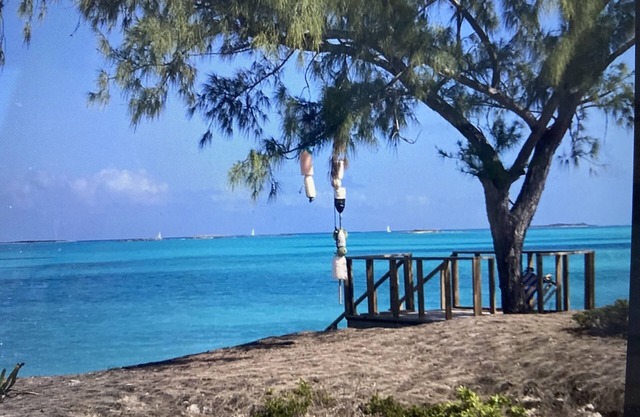 Paradise is just a click away.