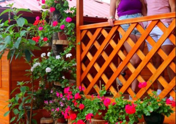 Paraiso Orquideario