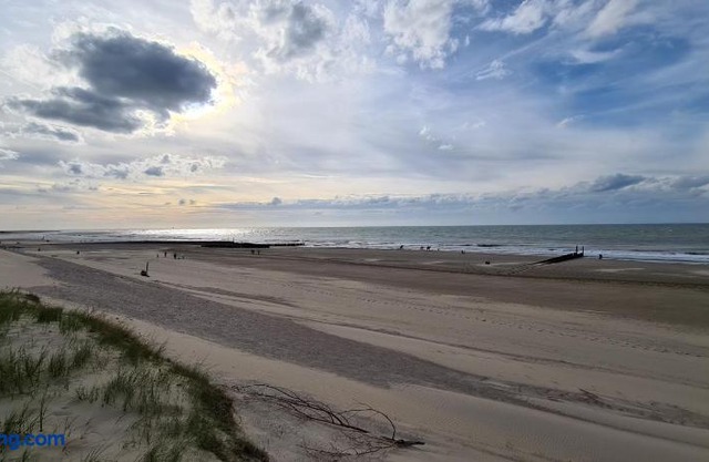 Park Schoneveld Zeester 64