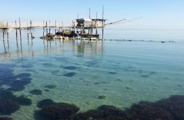 Patrizia House Costa Trabocchi