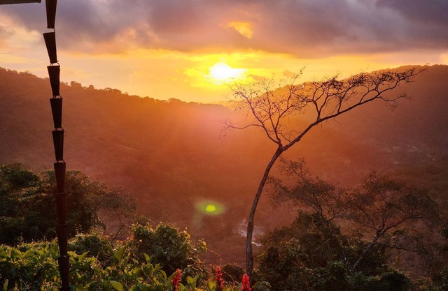 Peace and Tranquility overlooking the Jungle and Sea