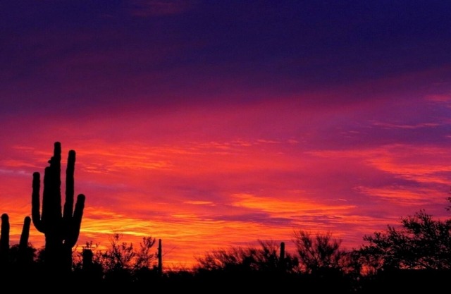 Peace & Tranquility In Our Southwest Studio Desert Home