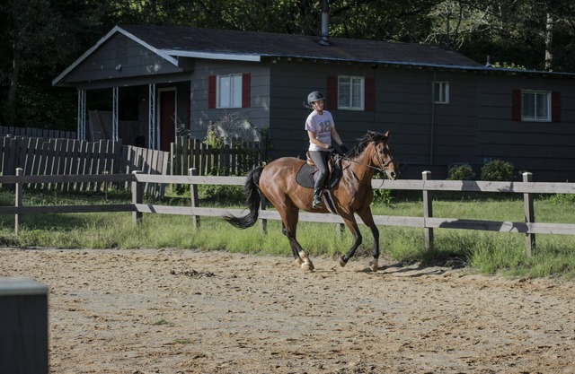 Peaceful Country Setting on a Working HorseFarm