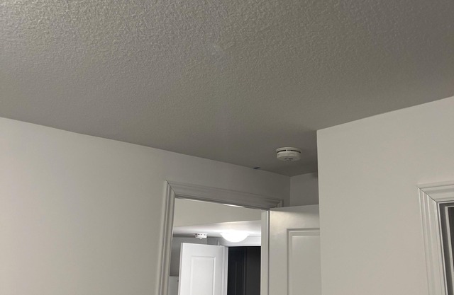 Peaceful Cozy Basement Apartment