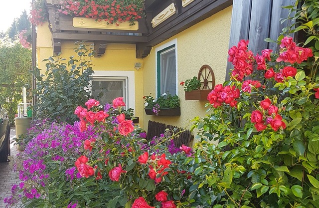 Pension Haus Rohrmoser