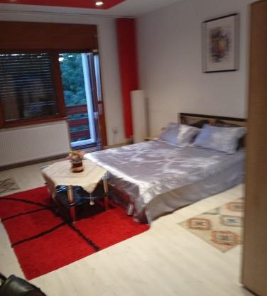 pensiune Valentin, apartament 2 dormitoare cu terasa, Iulius Mall