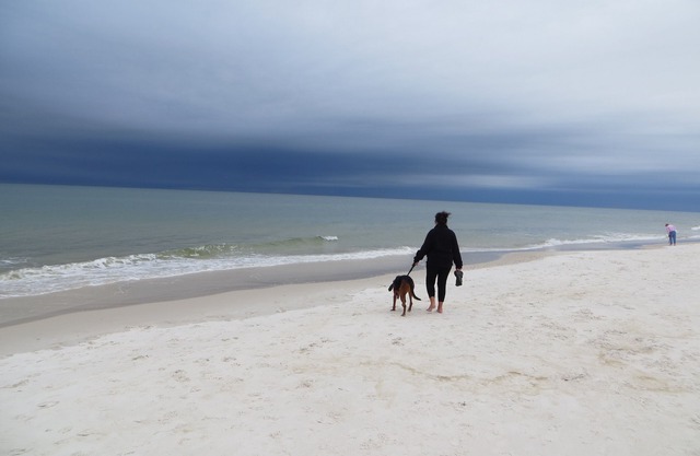 Pet-Friendly Beach Retreat with Weekly Discounts for Your Relaxing Getaway!