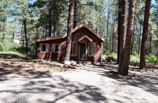 Pet Friendly Cabin on 3.5 acres between Durango and Purgatory - Fire Pit