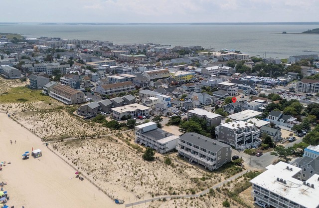 Pet Friendly Ocean Block Dewey Beach House