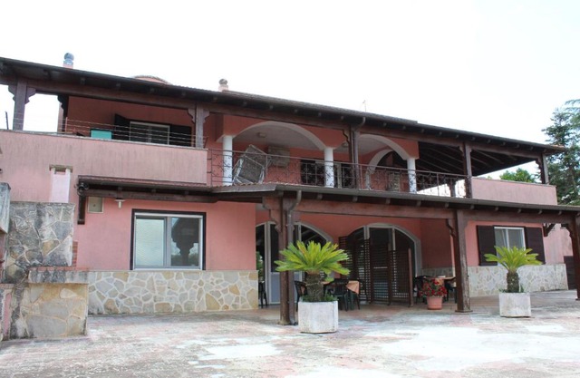 Piccolo Ulivo 2