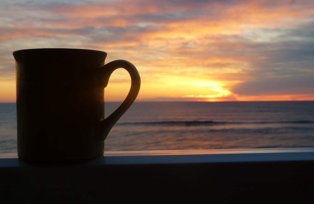 Pierview Unit 205 - Just One More Splash, OBX Oceanfront Condo