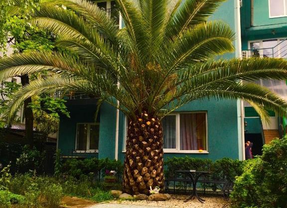 Pijama Guest House