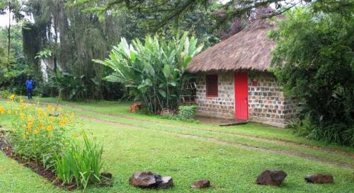 Pink Maraboi Resort