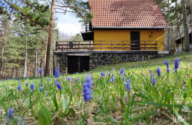 Planinska kuća Čudesni bor