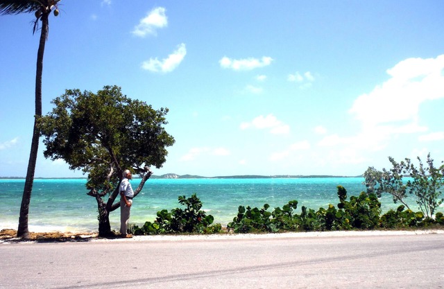 Plumbago - Paradise in the Bahamas with Ocean views