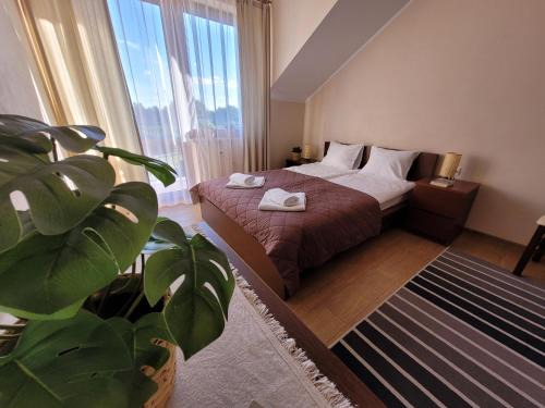 Pokoje i apartamenty "U Beaty"