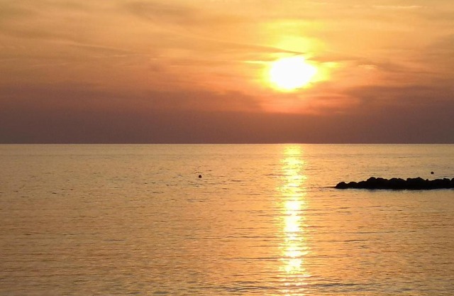 Premium Beach Studio WH 12