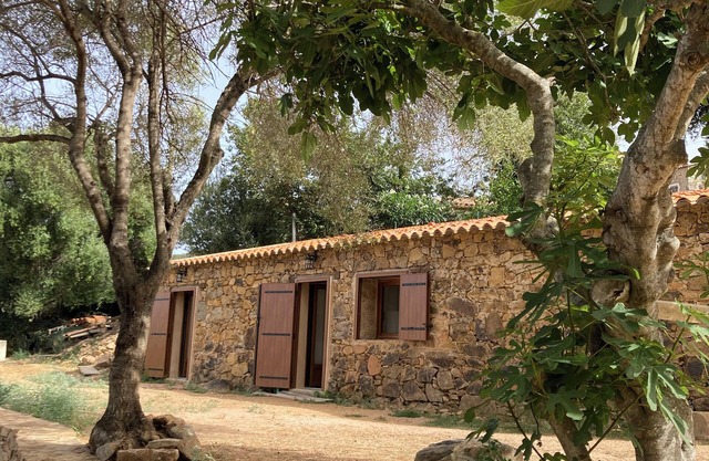 Pretty Renovated Traditional Corsican House