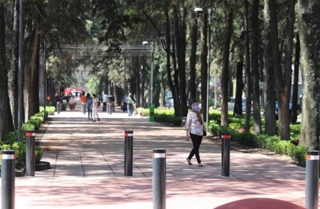 Private 1BR Polanco Apt, Amazing Location Sleeps 4