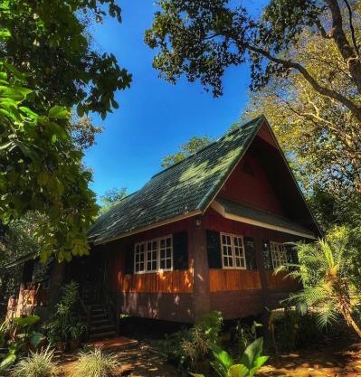 Private Forest Cottage in Near Chiang Mai