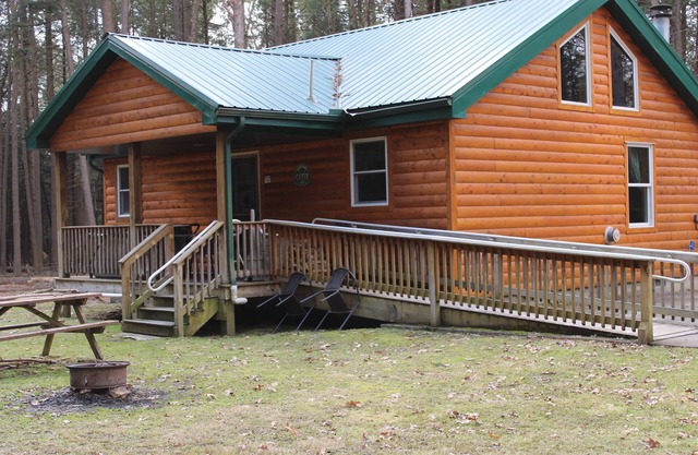 Private, Handicap Cabin with hot tub, No Pets