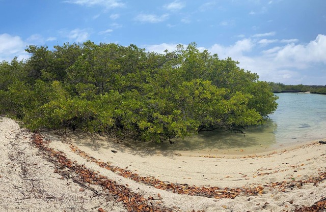Private home and beach access in Galapagos