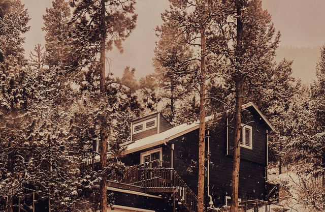 Private Magical Forest, King Suite, 2 miles to Pikes Peak Hwy and North Pole