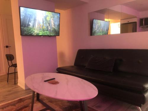 Private modern basement