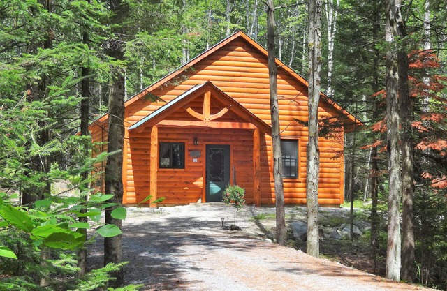 Private pet-friendly cabin in the woods w/private campfire pit & screened porch