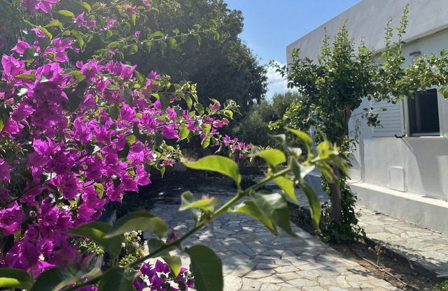 Private villa surrounded by olives -5 min walk from downtown/beach