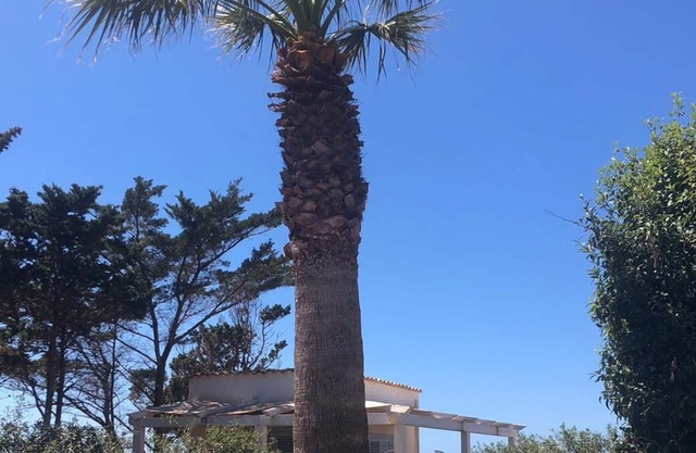 Private Villa with Garden and Sea View in quiet area near the Beach