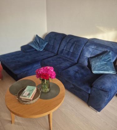 Pušų lašas apartamentai