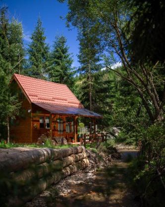 Pura Vida Forest Home