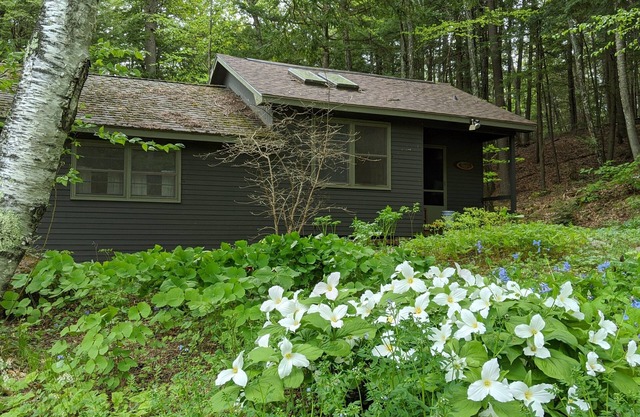 Quaint cottage on peaceful NH lake! Enjoy swimming, kayaking, and trails.