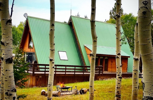 Quiet Aspen forest with a Mountain View.
