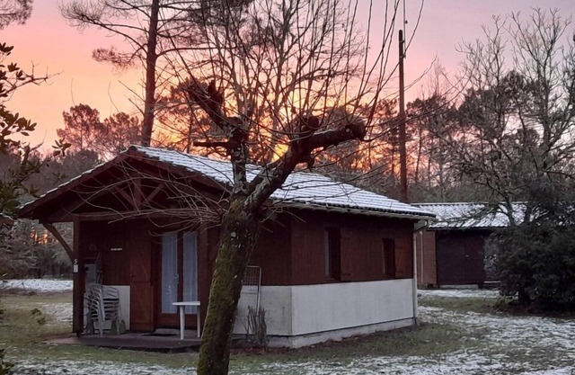 Quiet cottage on the edge of the Ciron